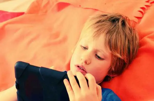 EMF en autisme