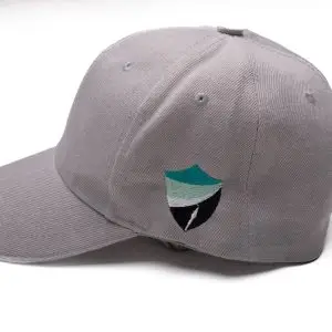 Anti straling pet grijs
